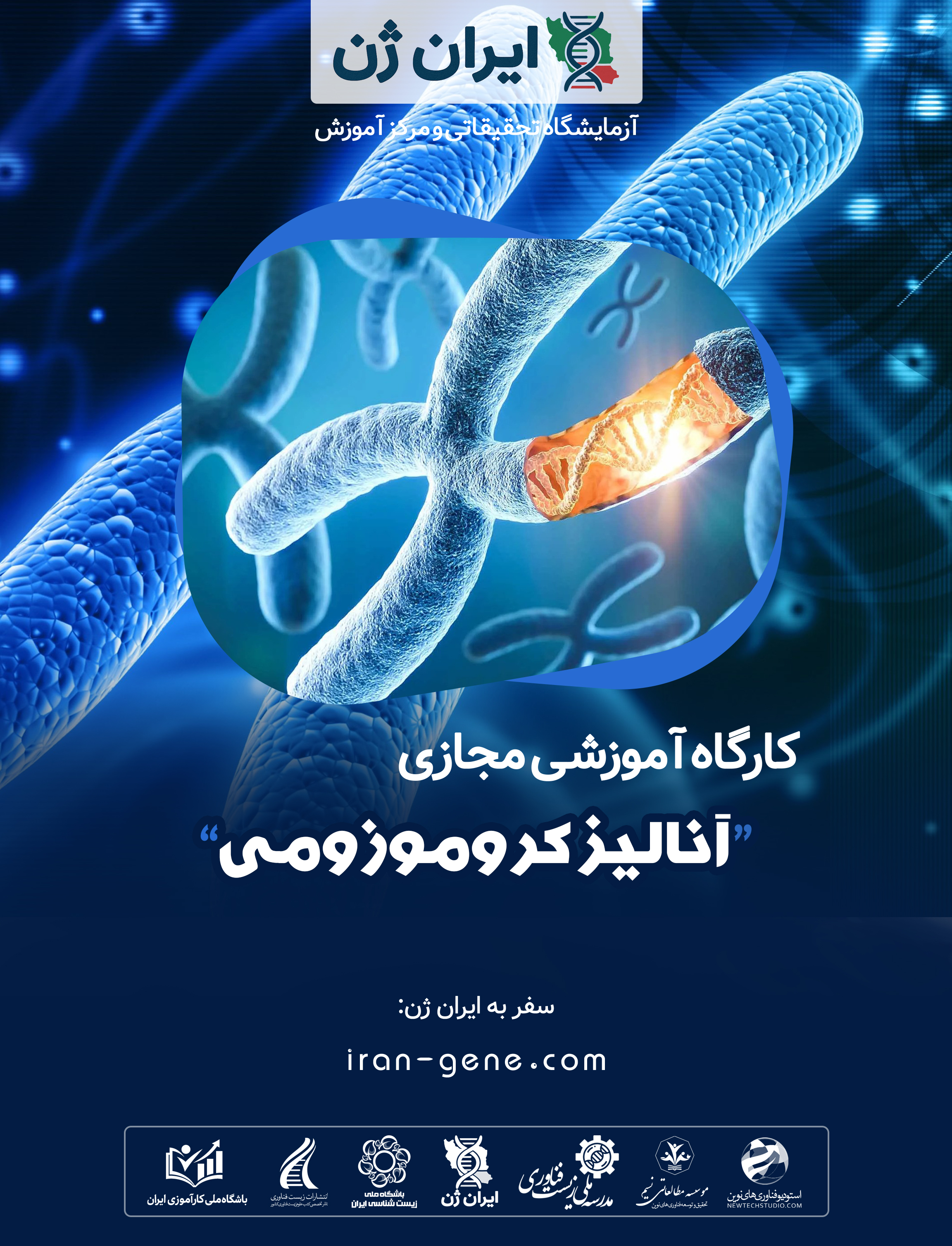 کارگاه آموزشی آنالیز کروموزومی