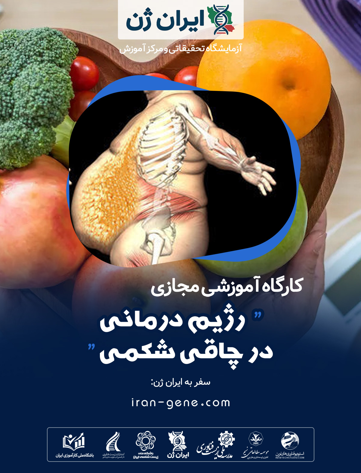 کارگاه آموزشی رژیم درمانی در چاقی شکمی