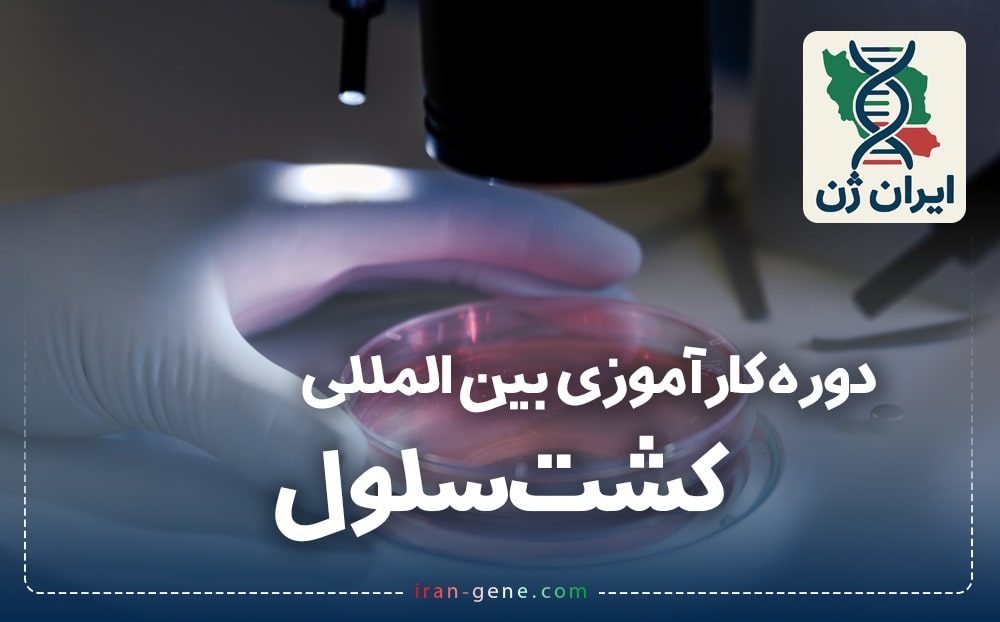 دوره کارآموزی بین المللی کشت سلول 