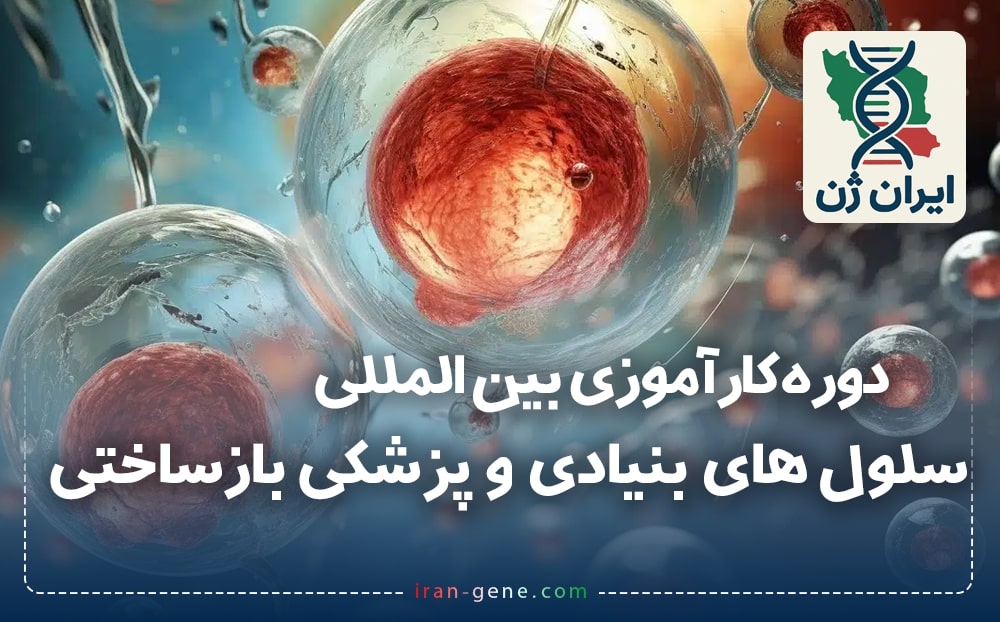 کارآموزی بین المللی سلول های بنیادی و پزشکی بازساختی