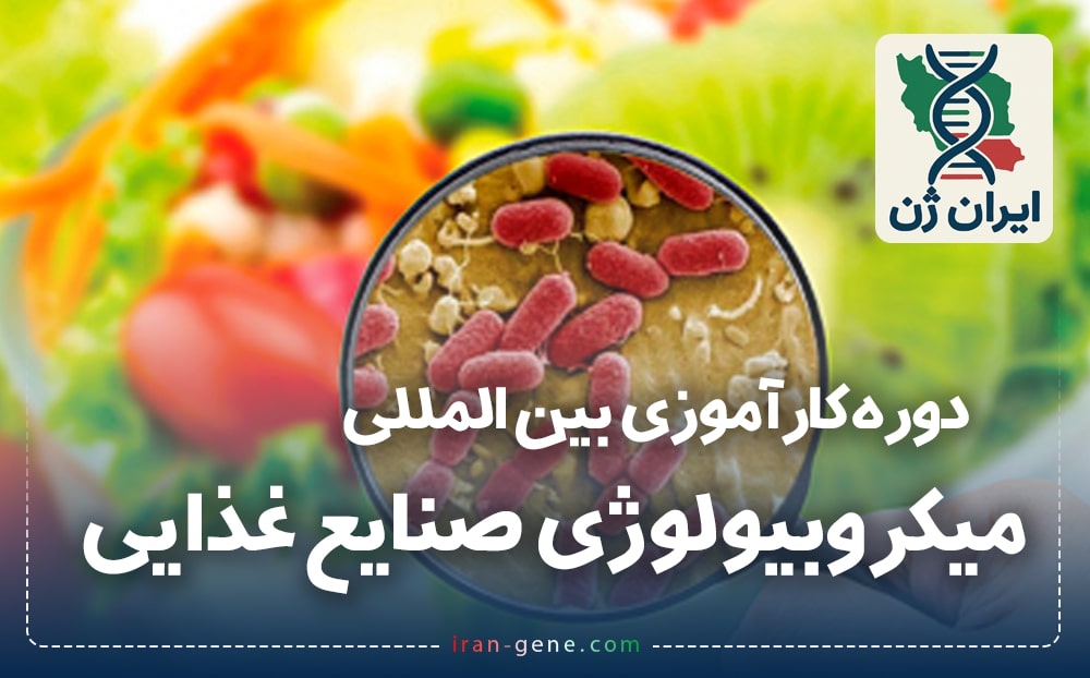 دوره کارآموزی بین المللی میکروبیولوژی صنایع غذایی