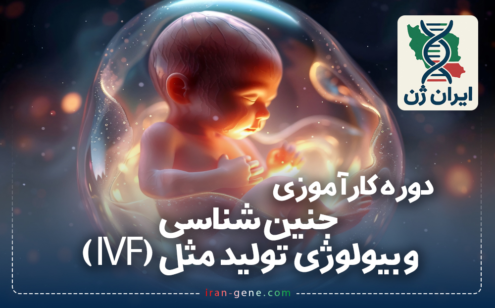 دوره کارآموزی بین المللی جنین شناسی و بیولوژی تولید مثل IVF