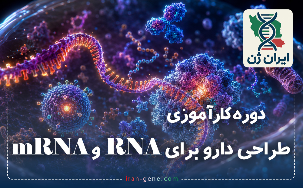 دوره کارآموزی بین المللی طراحی دارو برای RNA و mRNA