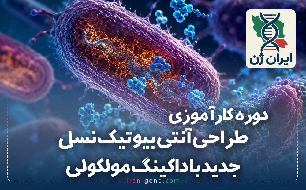 دوره کارآموزی بین المللی طراحی آنتی بیوتیک های نسل جدید با داکینگ مولکولی